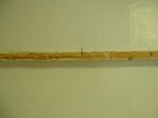 8x6dscf0139