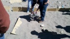 robot challenge
