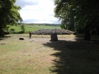 DSCF2862