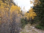 DSCF0272