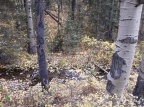 DSCF0308